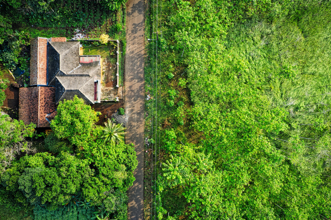 Photo of a house and a land and trees around it